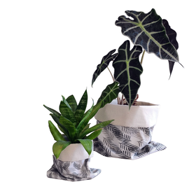 SUUUPER PRECIOOOO - CONTENEDOR MULTIUSO CHICOS X 3 SURTIDOS